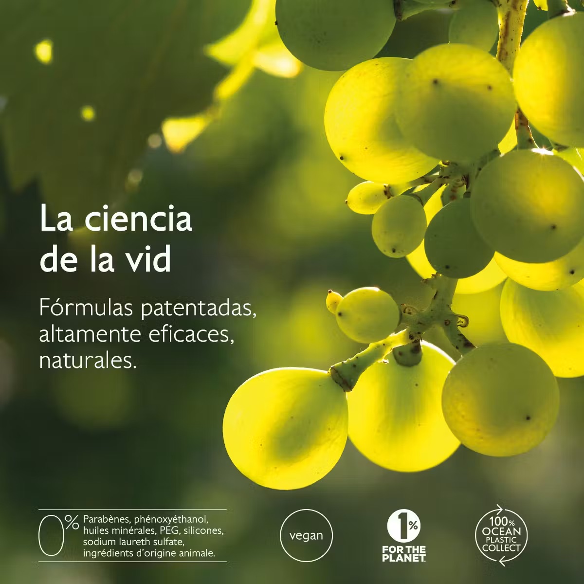 CAUDALIE Vinoperfect Serum Abtimanchas - Imagen 2